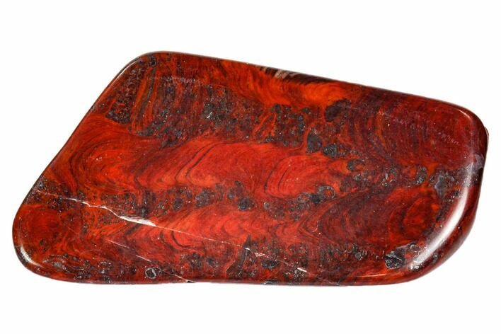Polished Stromatolite (Collenia) - Minnesota #104420
